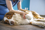 physiotherapy