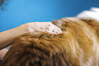physiotherapy