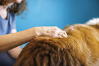 physiotherapy