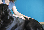 physiotherapy