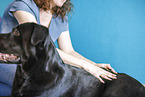 physiotherapy
