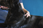 physiotherapy