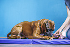 physiotherapy