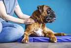 physiotherapy