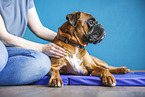 physiotherapy