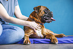 physiotherapy