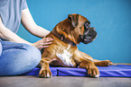 physiotherapy