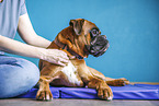 physiotherapy