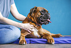 physiotherapy