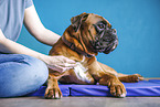 physiotherapy