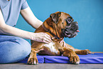 physiotherapy