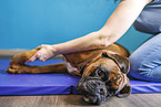 physiotherapy
