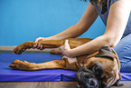 physiotherapy