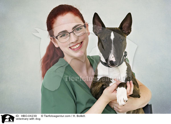 veterinary with dog / HBO-04239