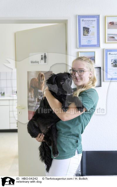 veterinary with dog / HBO-04242