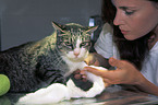 bandaging