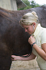 veterinarian sounds horse