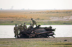 dead African Elephant will be burned