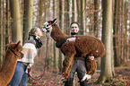 couple with Alpacas