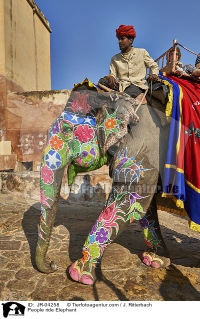 People ride Elephant / JR-04258