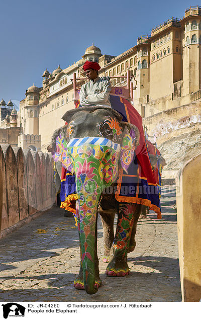 People ride Elephant / JR-04260