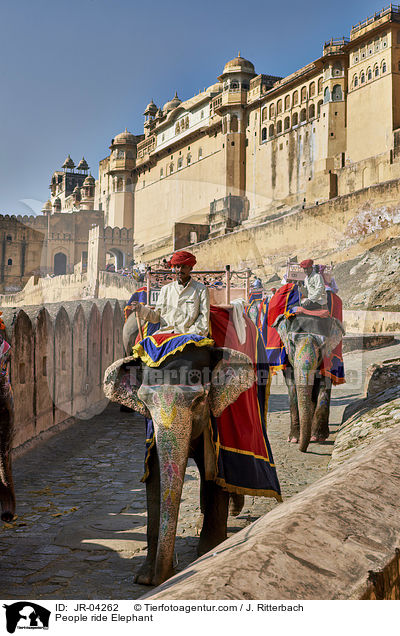 Menschen reiten auf Elefant / People ride Elephant / JR-04262