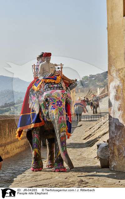 People ride Elephant / JR-04265