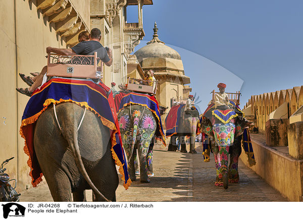 People ride Elephant / JR-04268