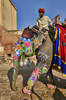 People ride Elephant