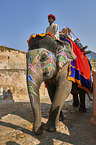 People ride Elephant