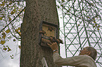 bats in hideout