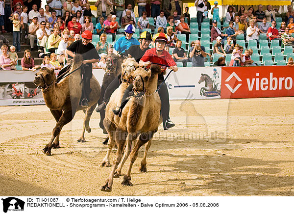 REDAKTIONELL - Showprogramm - Kamelreiten - Balve Optimum 2006 - 05.08.2006 / REDAKTIONELL - Showprogramm - Kamelreiten - Balve Optimum 2006 - 05.08.2006 / TH-01067
