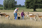 humans with Fallow Deers