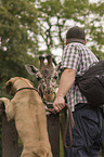 Giraffe at the zoo