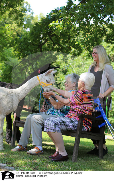 tiergesttzte Therapie / animal-assisted therapy / PM-05859