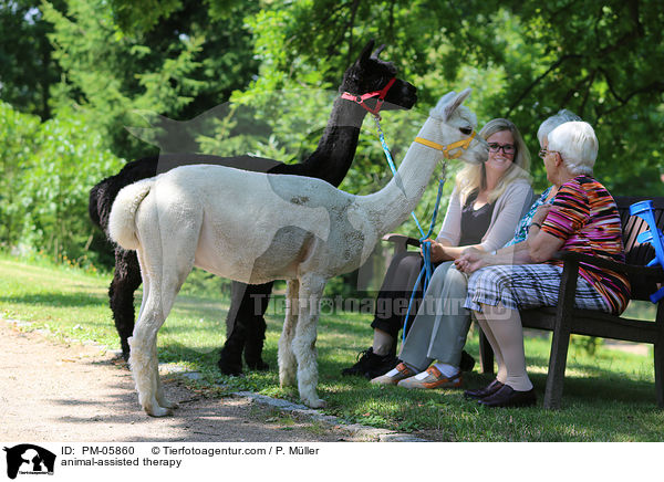 tiergesttzte Therapie / animal-assisted therapy / PM-05860