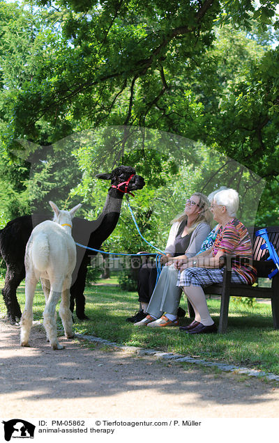 tiergesttzte Therapie / animal-assisted therapy / PM-05862