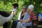 animal-assisted therapy
