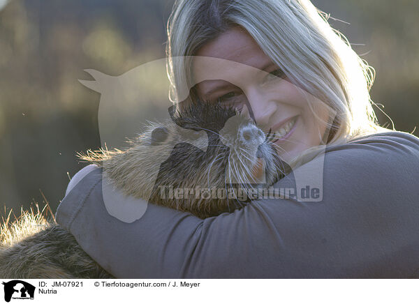 Nutria / JM-07921