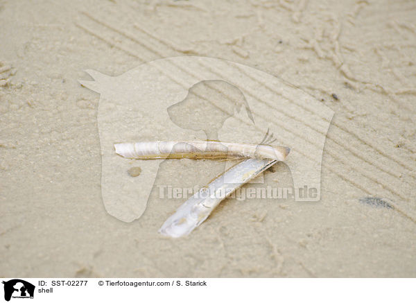 shell / SST-02277