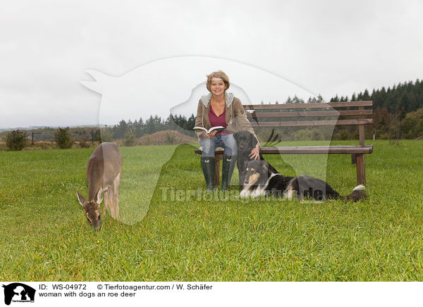 Frau mit Hunden und Reh / woman with dogs an roe deer / WS-04972