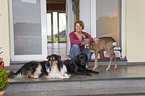 woman with dogs and roe deer