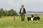 huntsman with fawn and dogs