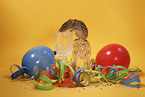 mouse